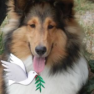 Meet your Posher, Carole